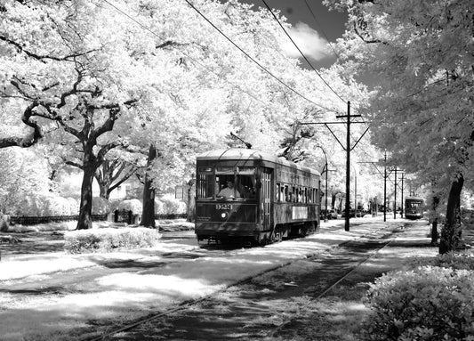 a New Orleans Streetcar on St Charles Ave